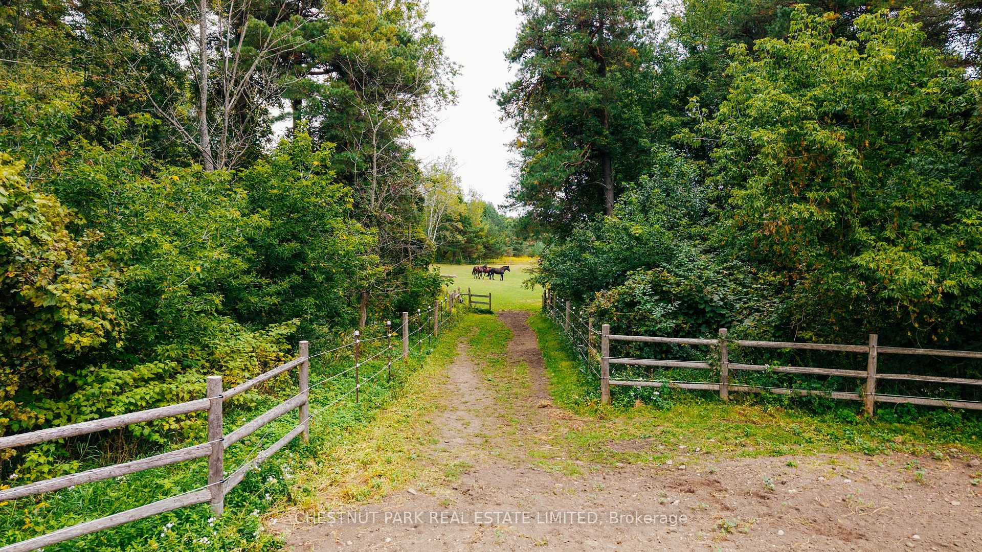 Photo 39 of 798227 Third Line E, Mulmur, Rural Mulmur — HOMEH