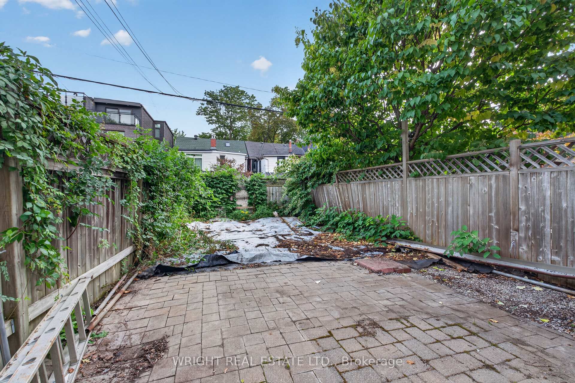 Photo 22 of 31 Olive Avenue, Toronto, The Annex — HOMEH