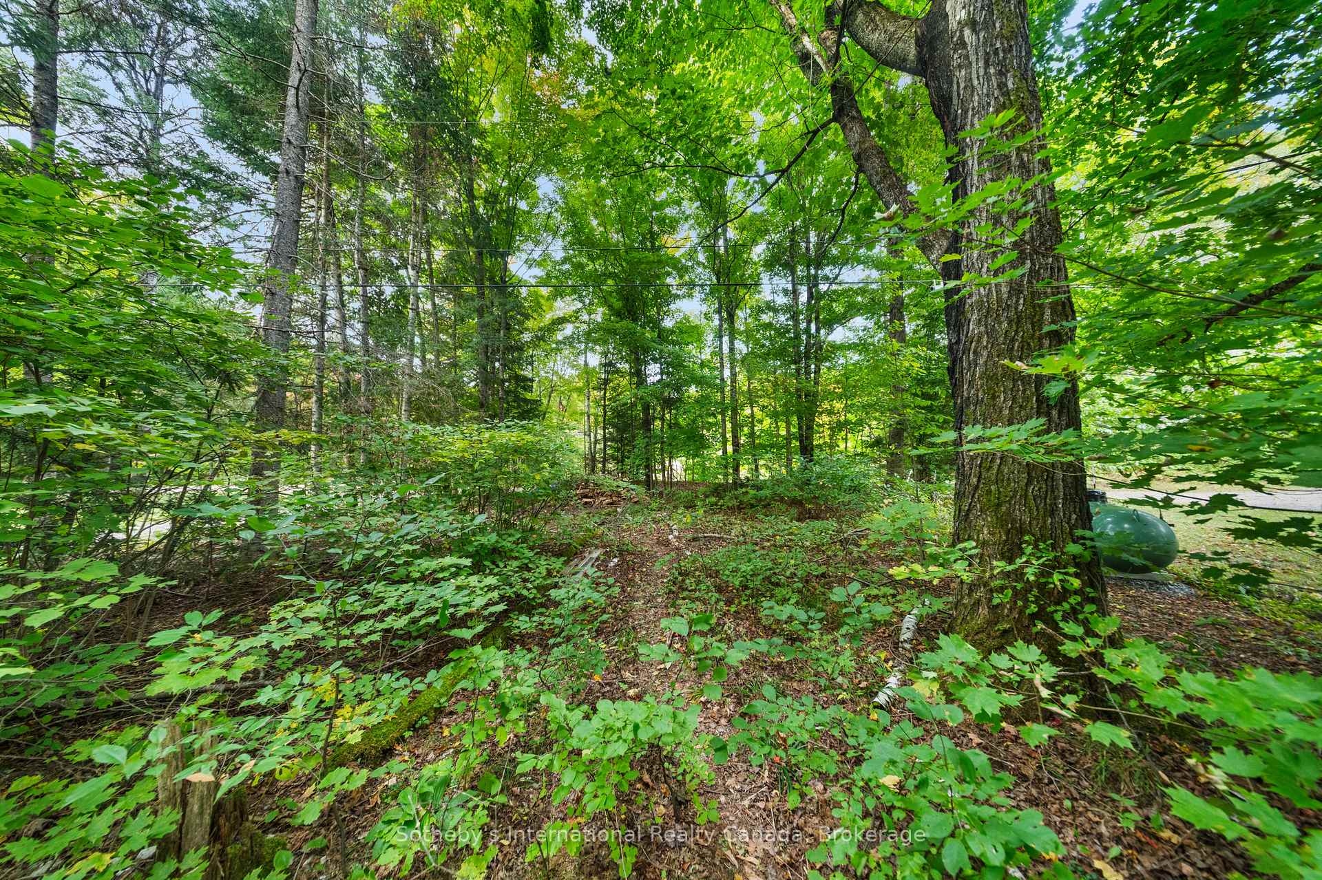 Photo 42 of 1054 Keysbury Drive, Algonquin Highlands, McClintock — HOMEH
