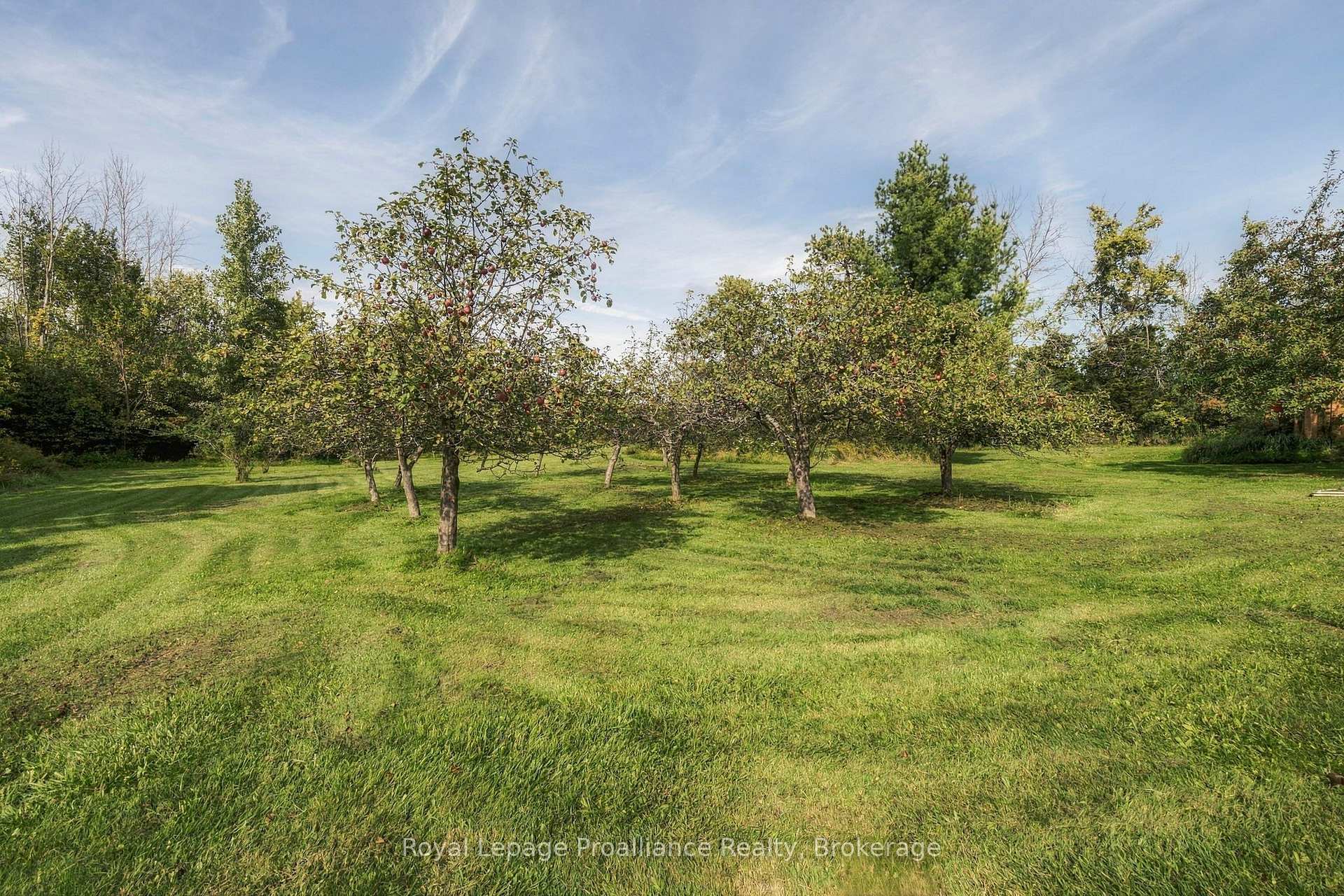 Photo 41 of 16 Bonisteel Road, Quinte West, Sidney Ward — HOMEH