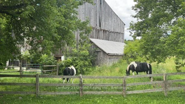 Photo 22 of 3362 Ferguson Road, Hamilton Township, Rural Hamilton — HOMEH