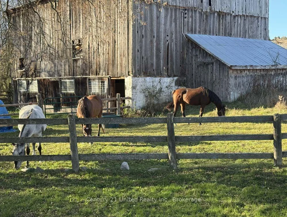 Photo 57 of 3362 Ferguson Road, Hamilton Township, Rural Hamilton — HOMEH