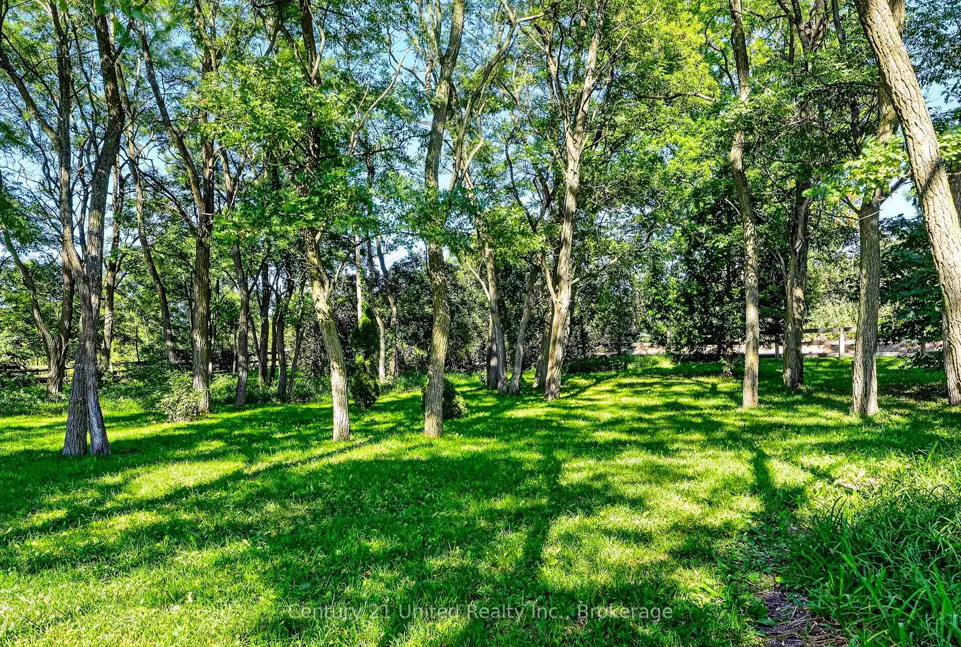 Photo 64 of 3362 Ferguson Road, Hamilton Township, Rural Hamilton — HOMEH