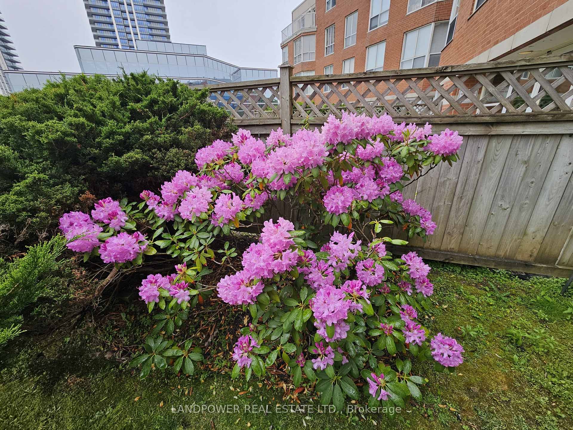 Photo 33 of Unit 101, 9 Chalmers Road, Richmond Hill, Doncrest — HOMEH