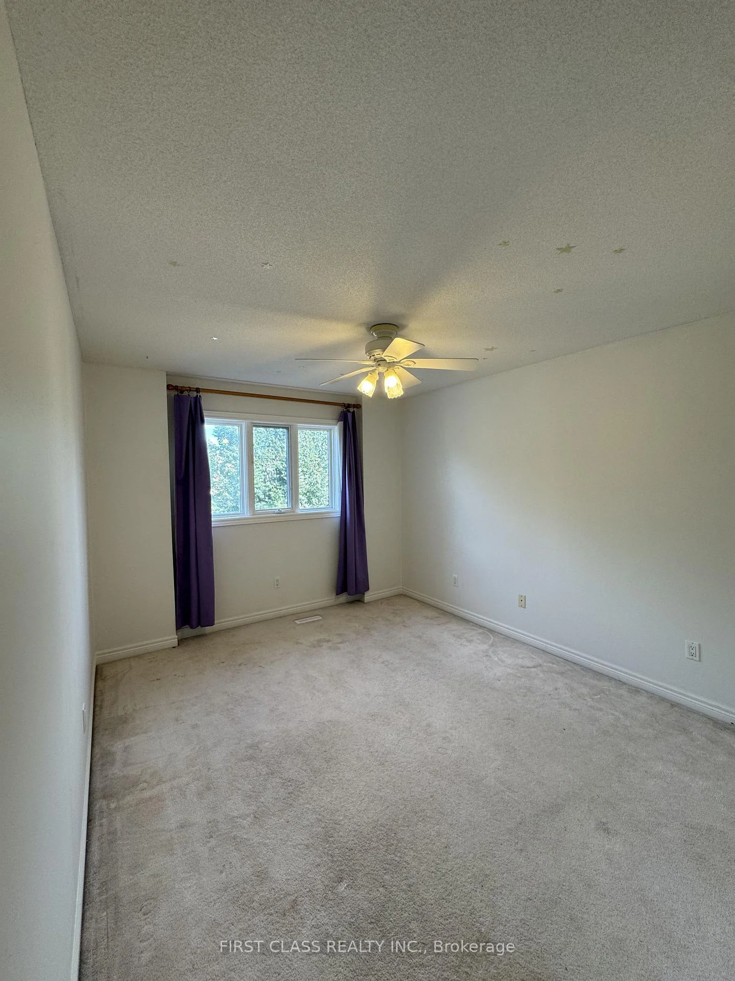Photo 3 of 17 Maggs Street, Ajax, Central West — HOMEH