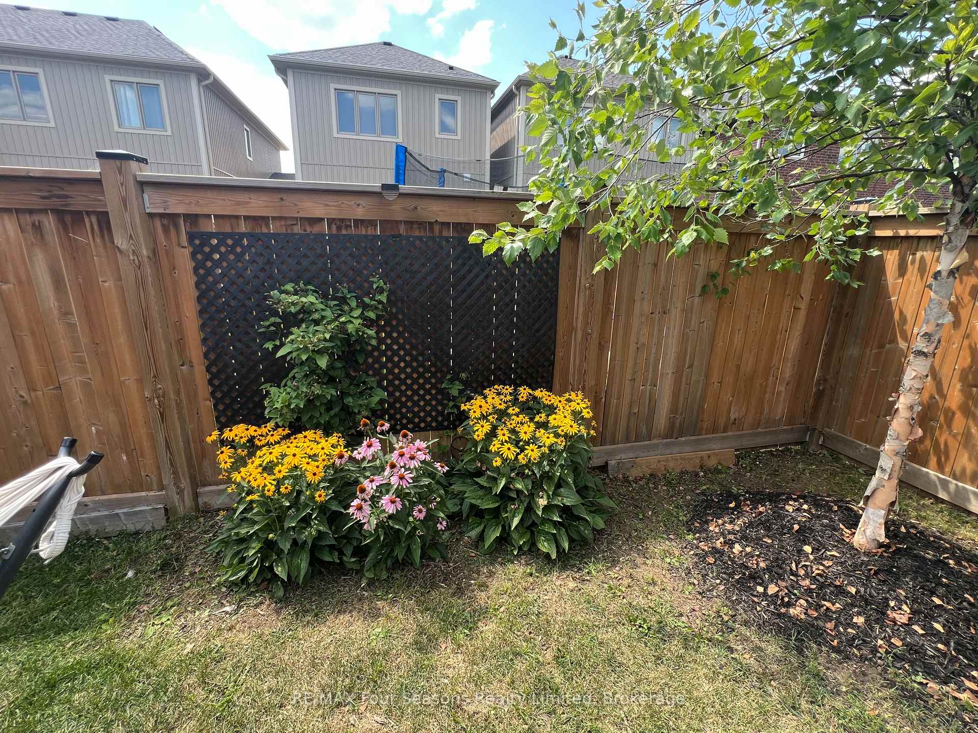 Photo 36 of 24 Barfoot Street, Collingwood — HOMEH
