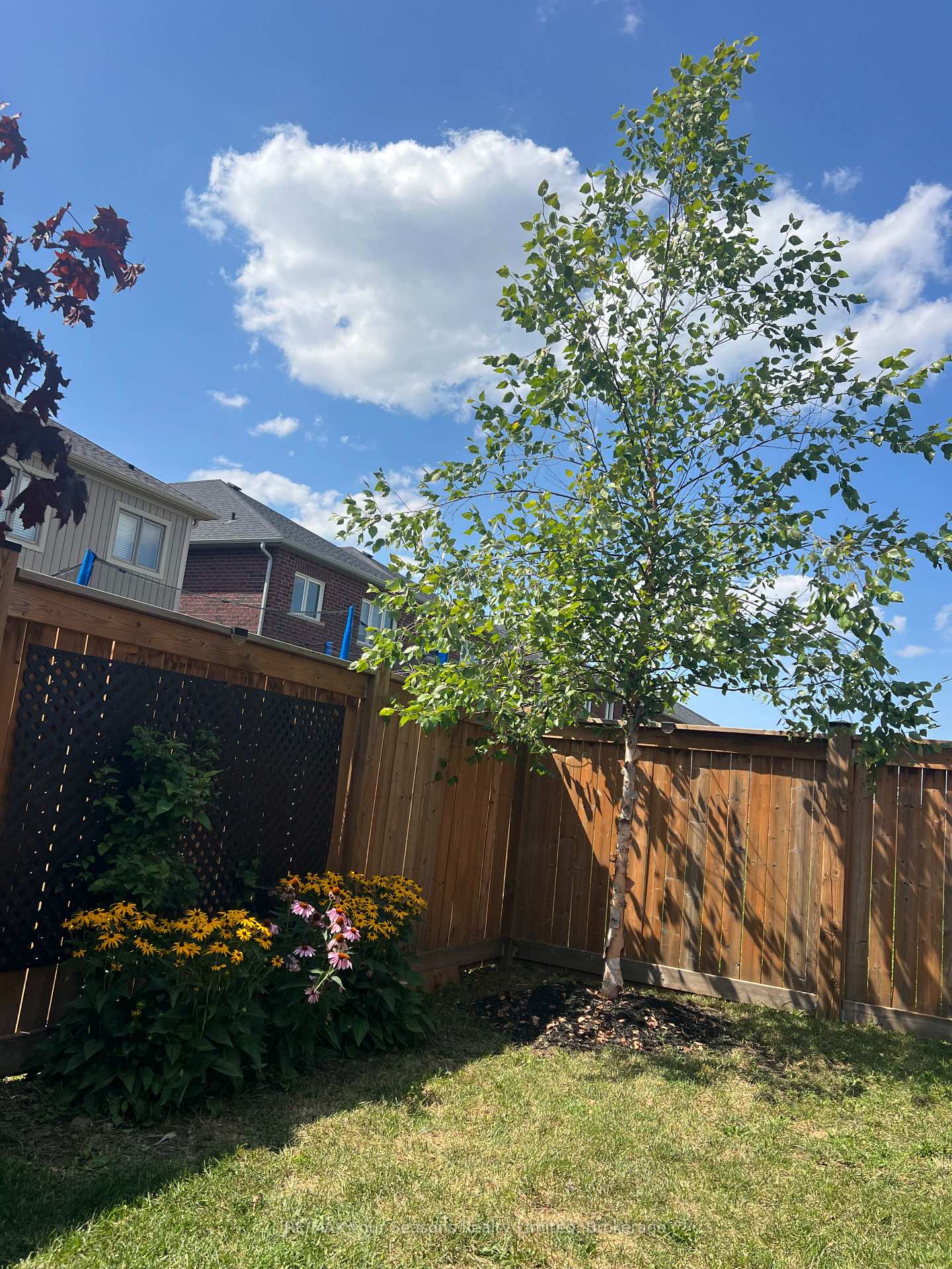 Photo 37 of 24 Barfoot Street, Collingwood — HOMEH
