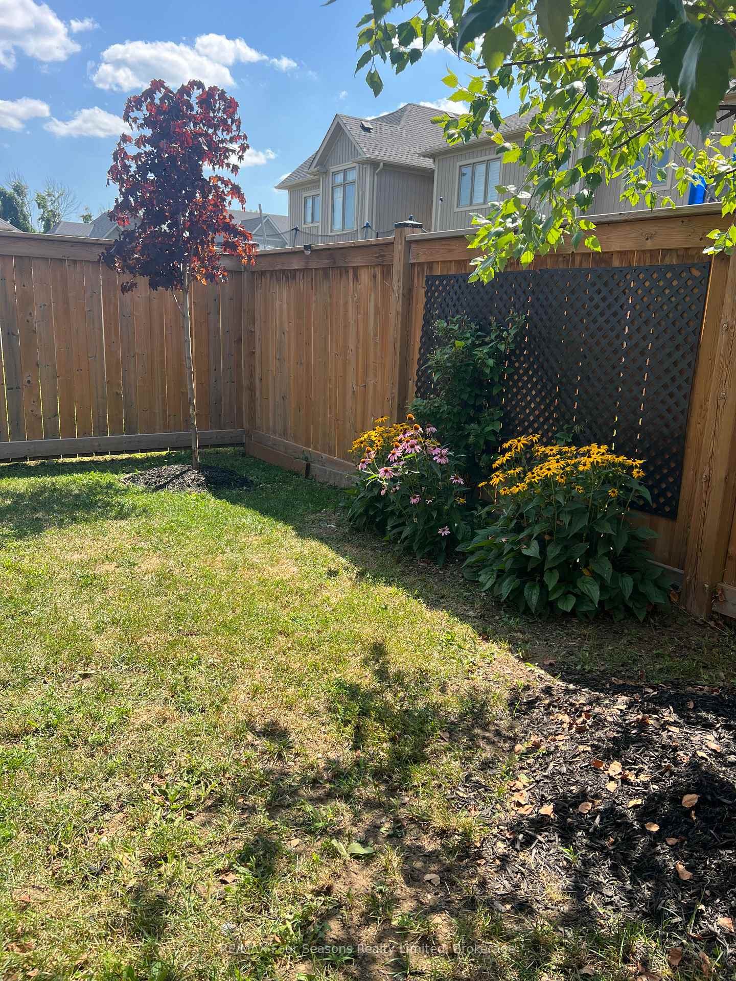 Photo 40 of 24 Barfoot Street, Collingwood — HOMEH