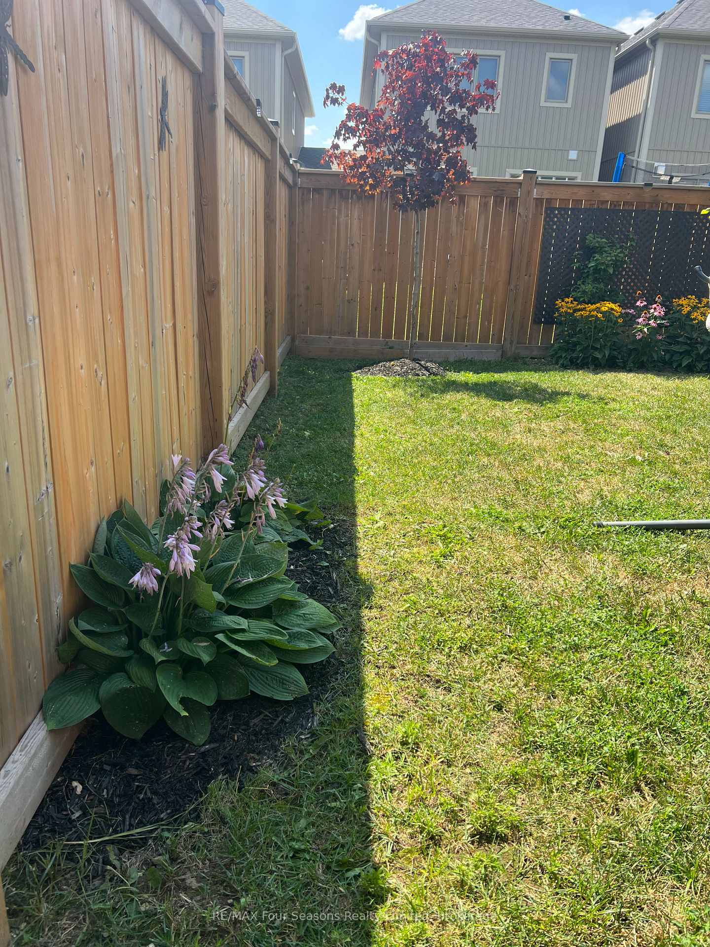 Photo 41 of 24 Barfoot Street, Collingwood — HOMEH