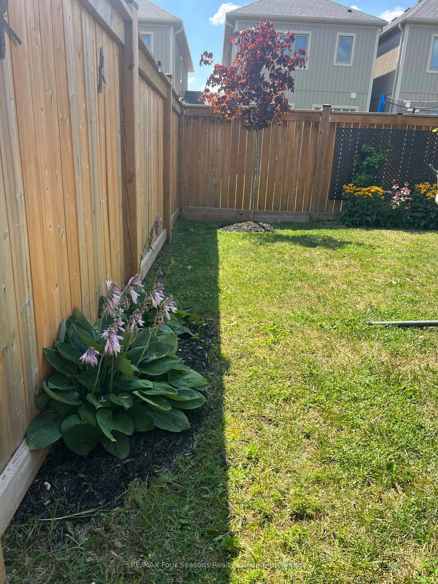 Photo 38 of 24 Barfoot Street, Collingwood — HOMEH