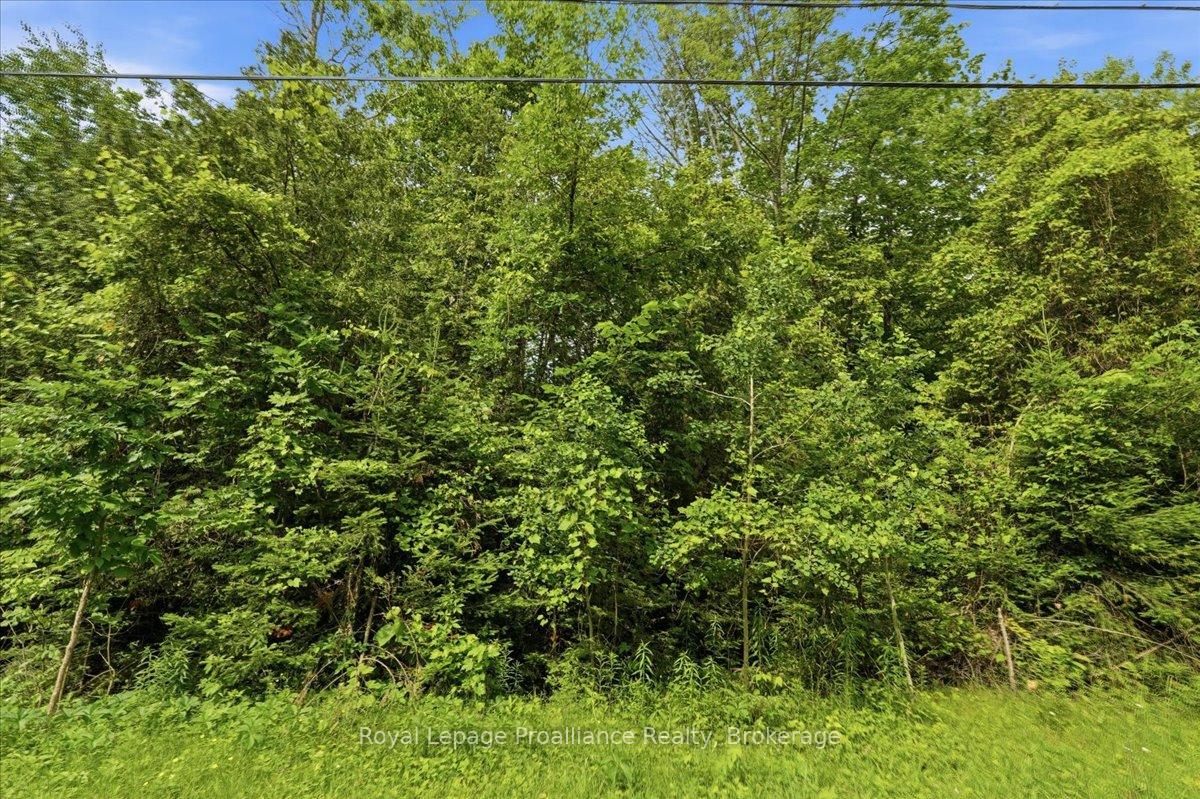Photo 4 of Swinburne Lane, Stirling-Rawdon, Rawdon Ward — HOMEH