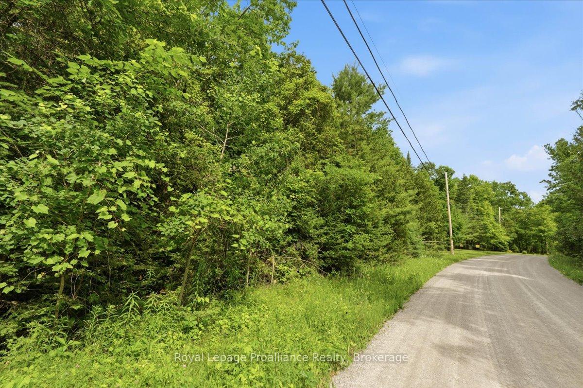 Photo 5 of Swinburne Lane, Stirling-Rawdon, Rawdon Ward — HOMEH