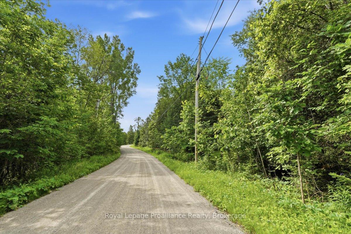 Photo 6 of Swinburne Lane, Stirling-Rawdon, Rawdon Ward — HOMEH