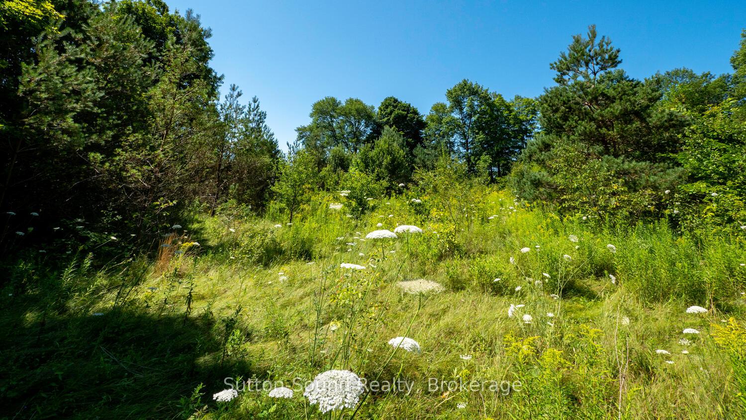 Photo 6 of 31 Everett Road, South Bruce Peninsula — HOMEH