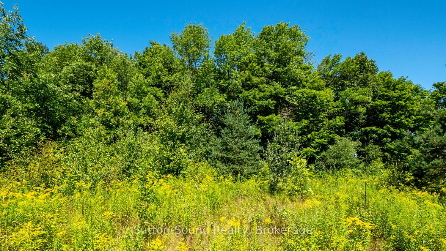 Photo 7 of 31 Everett Road, South Bruce Peninsula — HOMEH