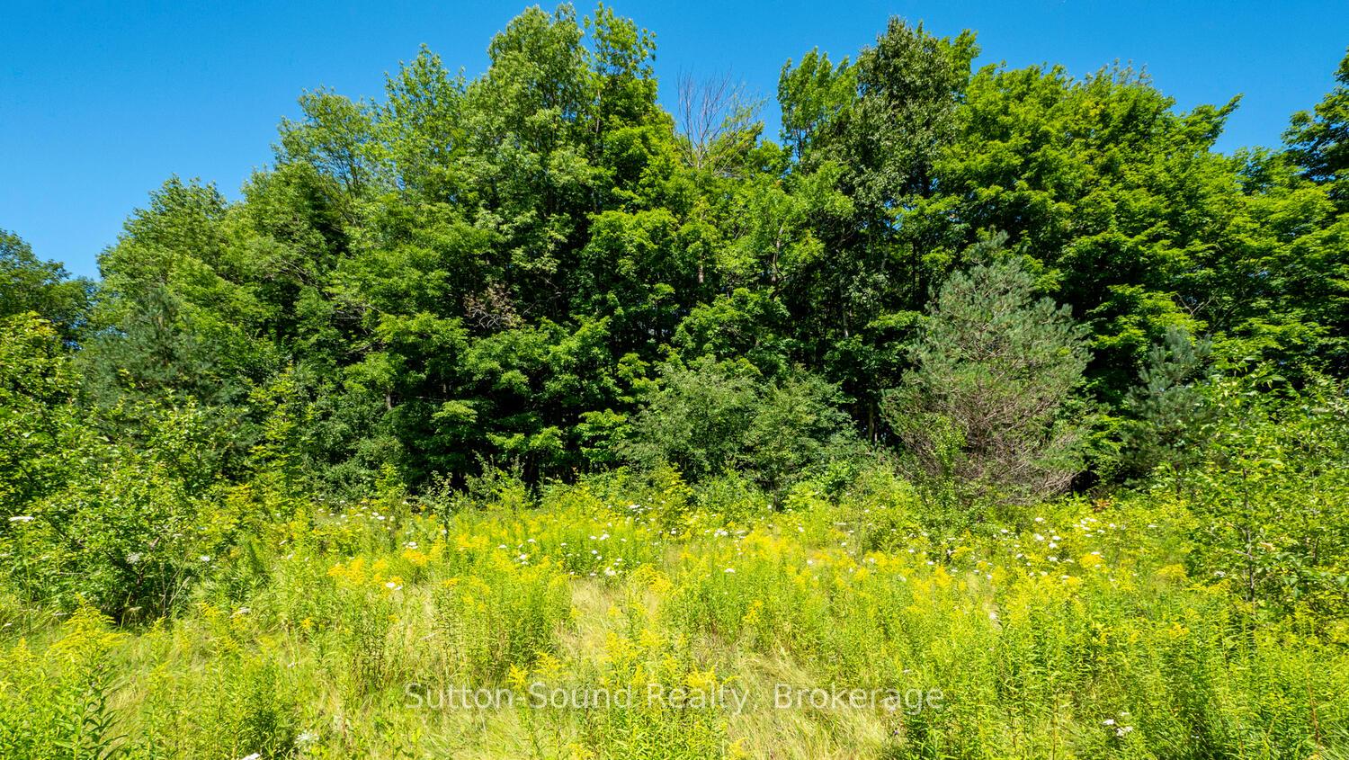 Photo 8 of 31 Everett Road, South Bruce Peninsula — HOMEH