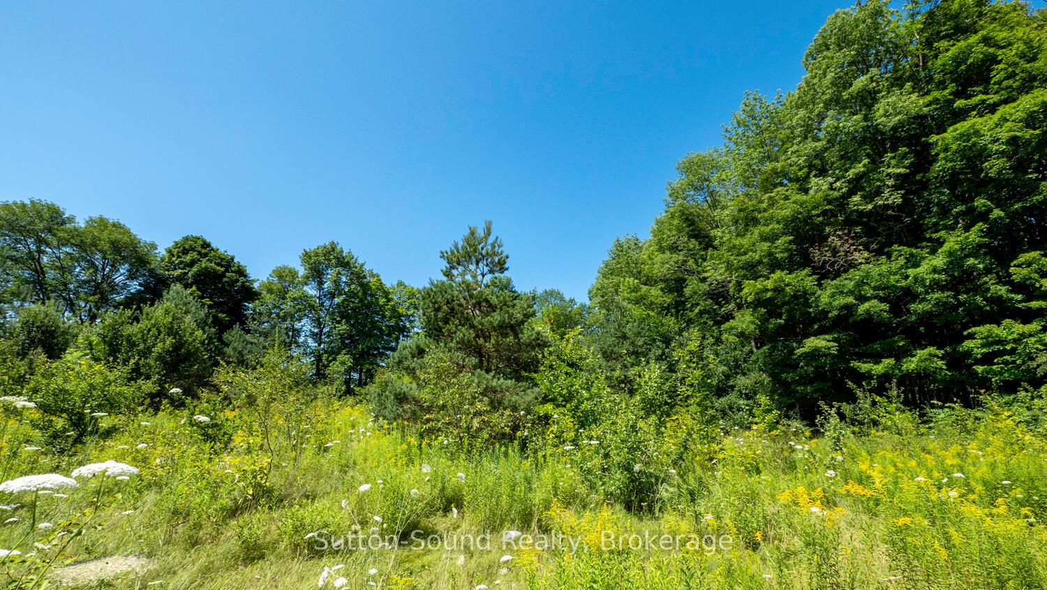 Photo 9 of 31 Everett Road, South Bruce Peninsula — HOMEH