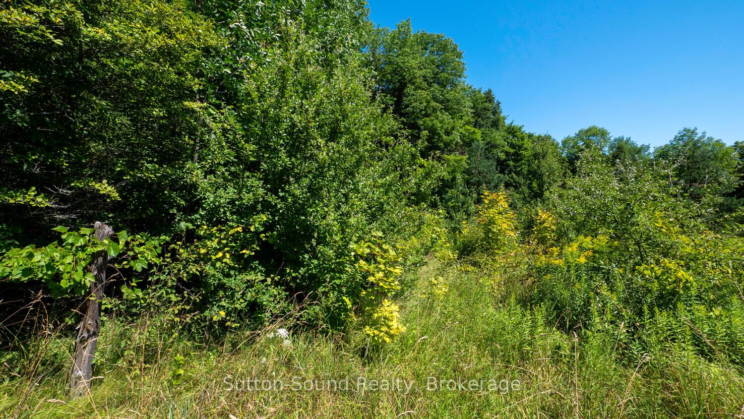 Photo 10 of 31 Everett Road, South Bruce Peninsula — HOMEH