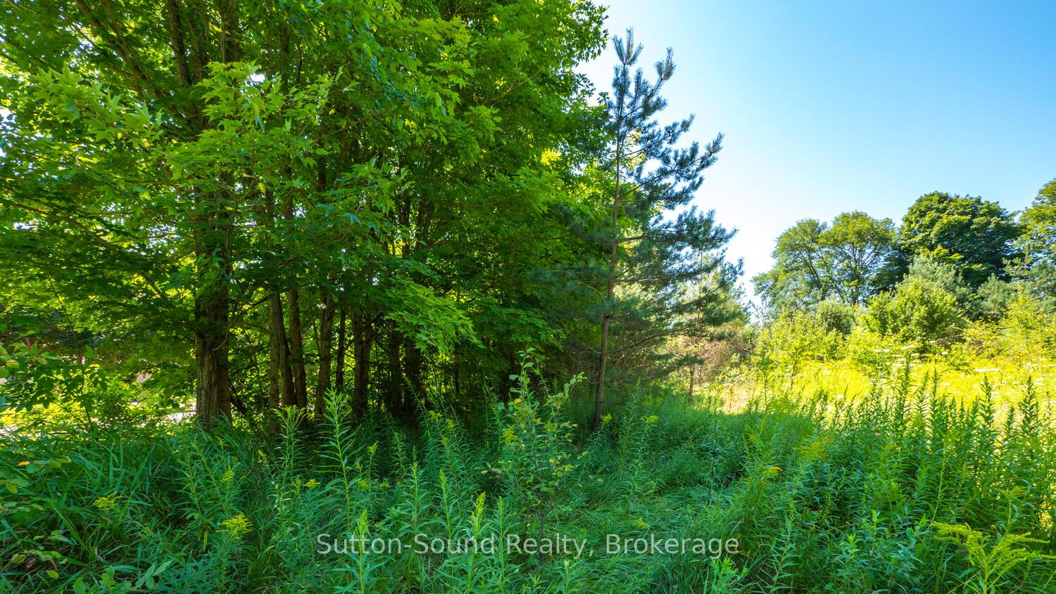 Photo 12 of 31 Everett Road, South Bruce Peninsula — HOMEH