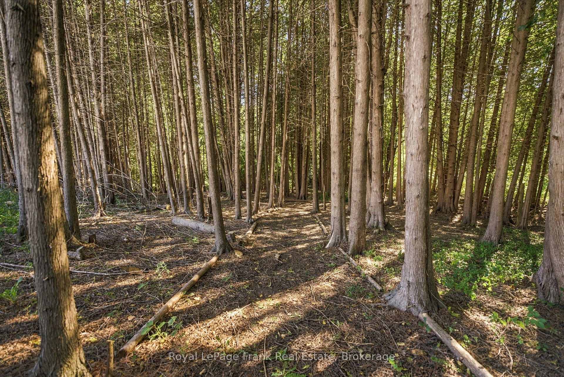 Photo 57 of 2223 Concession 7 Road, Clarington, Rural Clarington — HOMEH