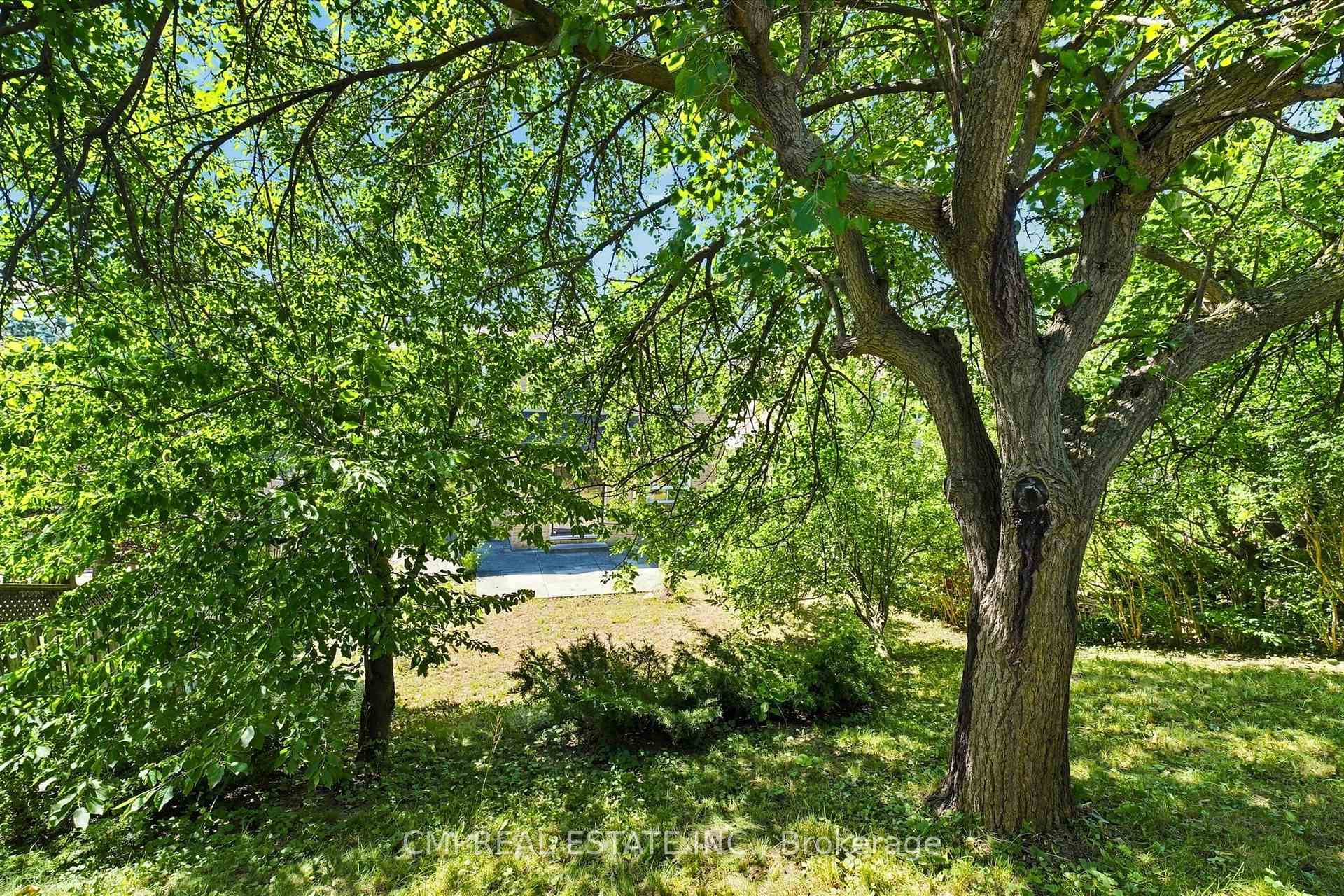 Photo 39 of 127 O'connor Crescent, Richmond Hill, North Richvale — HOMEH