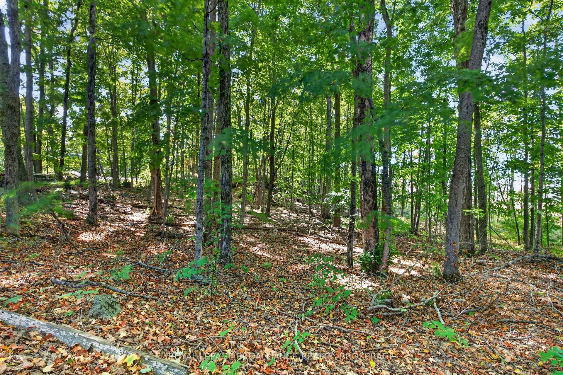 Photo 38 of 4454 Bellrock Road, Frontenac, Frontenac South — HOMEH