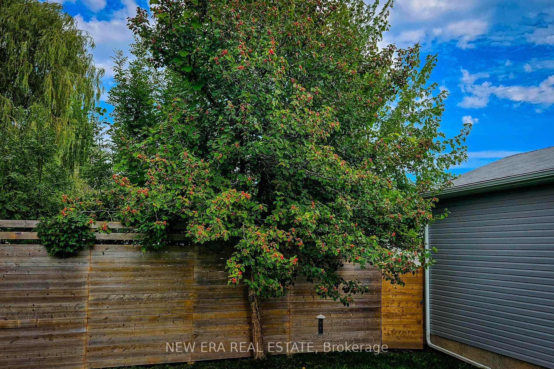 Photo 34 of 4274 Sixth Avenue, Niagara Falls, Downtown — HOMEH