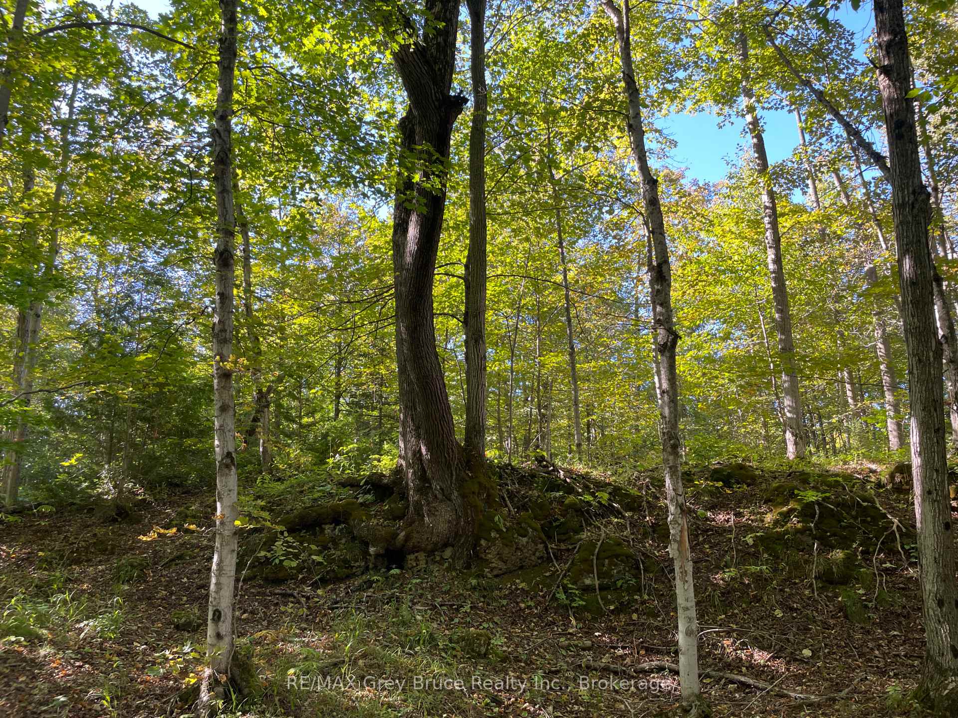 Photo 49 of 135 North Diagonal, South Bruce Peninsula — HOMEH