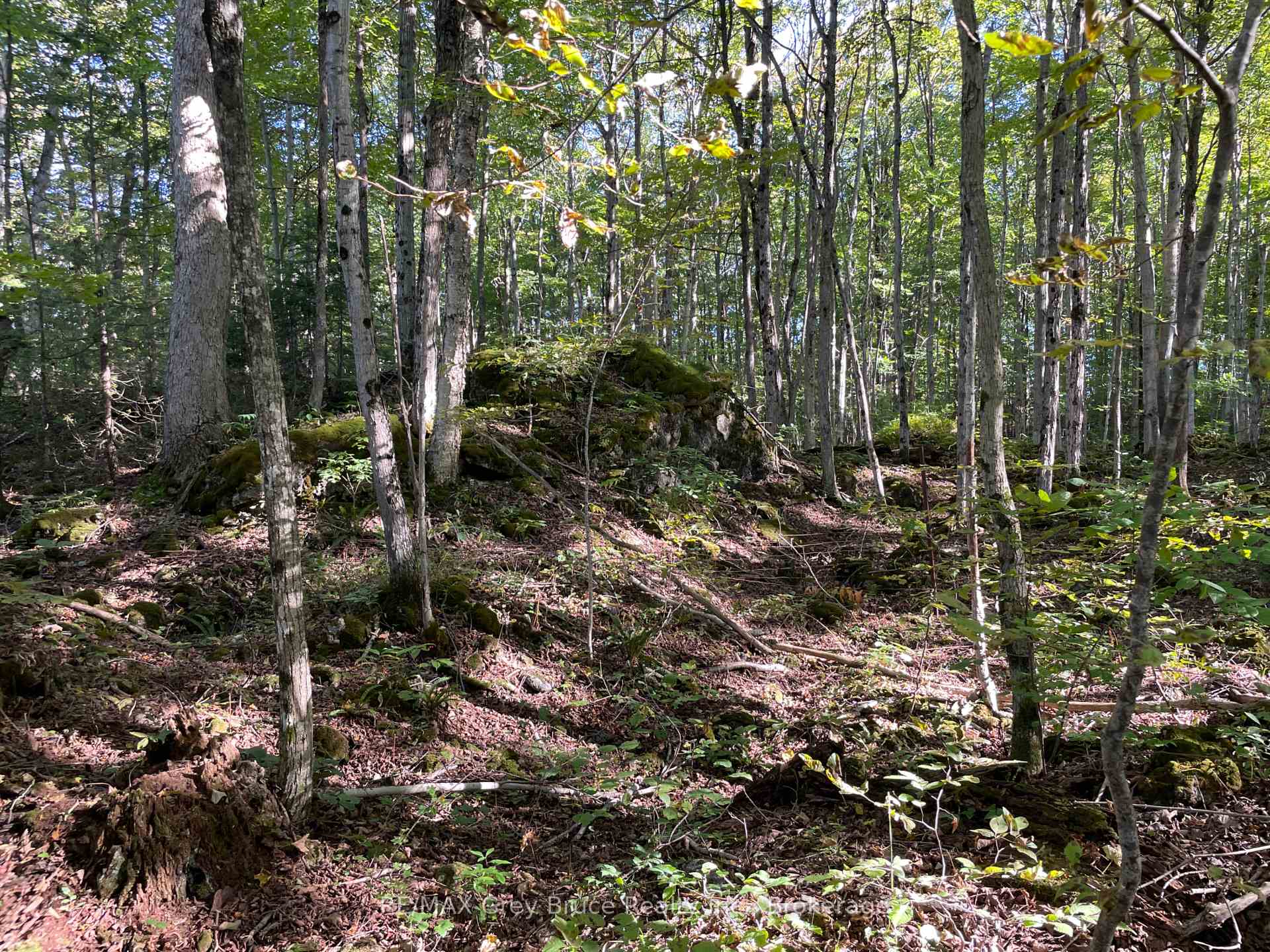 Photo 50 of 135 North Diagonal, South Bruce Peninsula — HOMEH