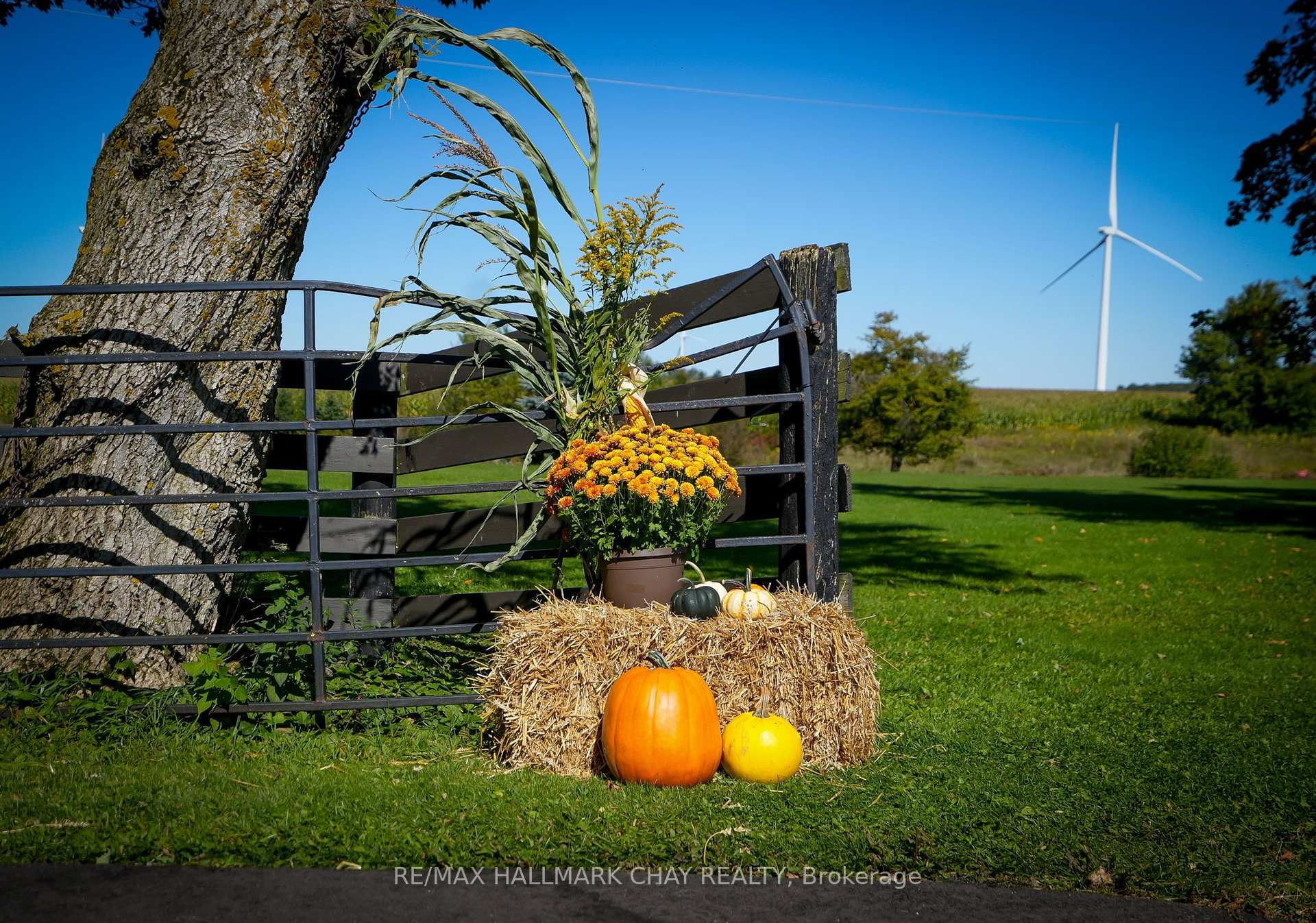Photo 34 of 665221 20 Sideroad, Melancthon, Rural Melancthon — HOMEH