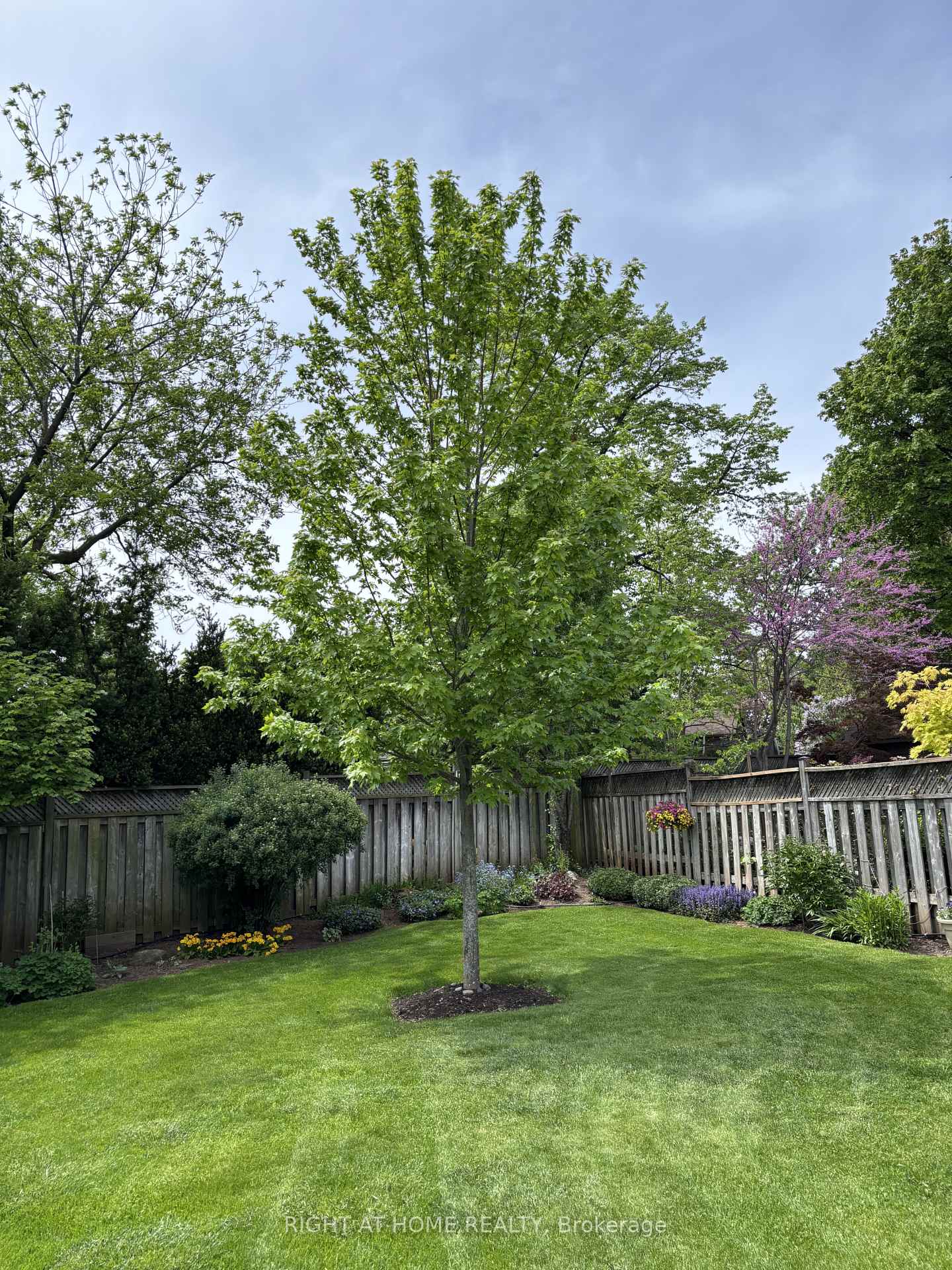 Photo 45 of 1328 Falgarwood Drive, Oakville, Falgarwood — HOMEH