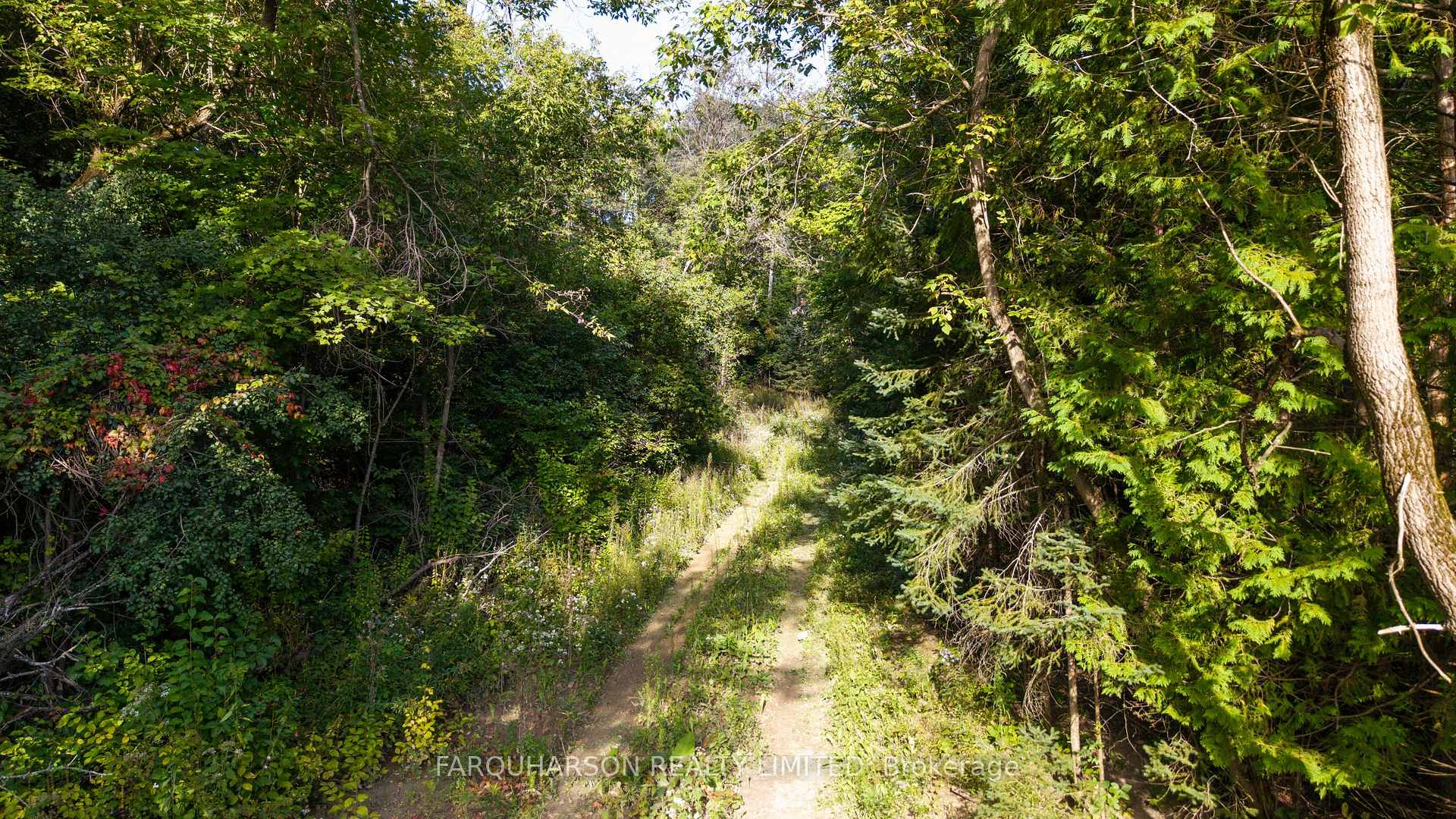 Photo 6 of 16631 Mount Hope Road, Caledon, Palgrave — HOMEH