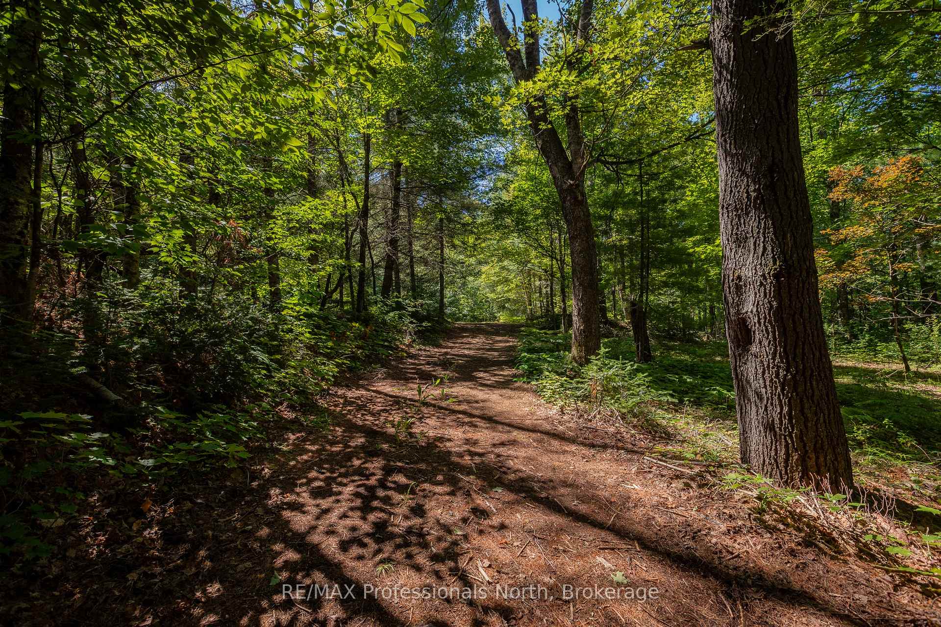 Photo 7 of 1114 River Haven Road N, Bracebridge, Draper — HOMEH