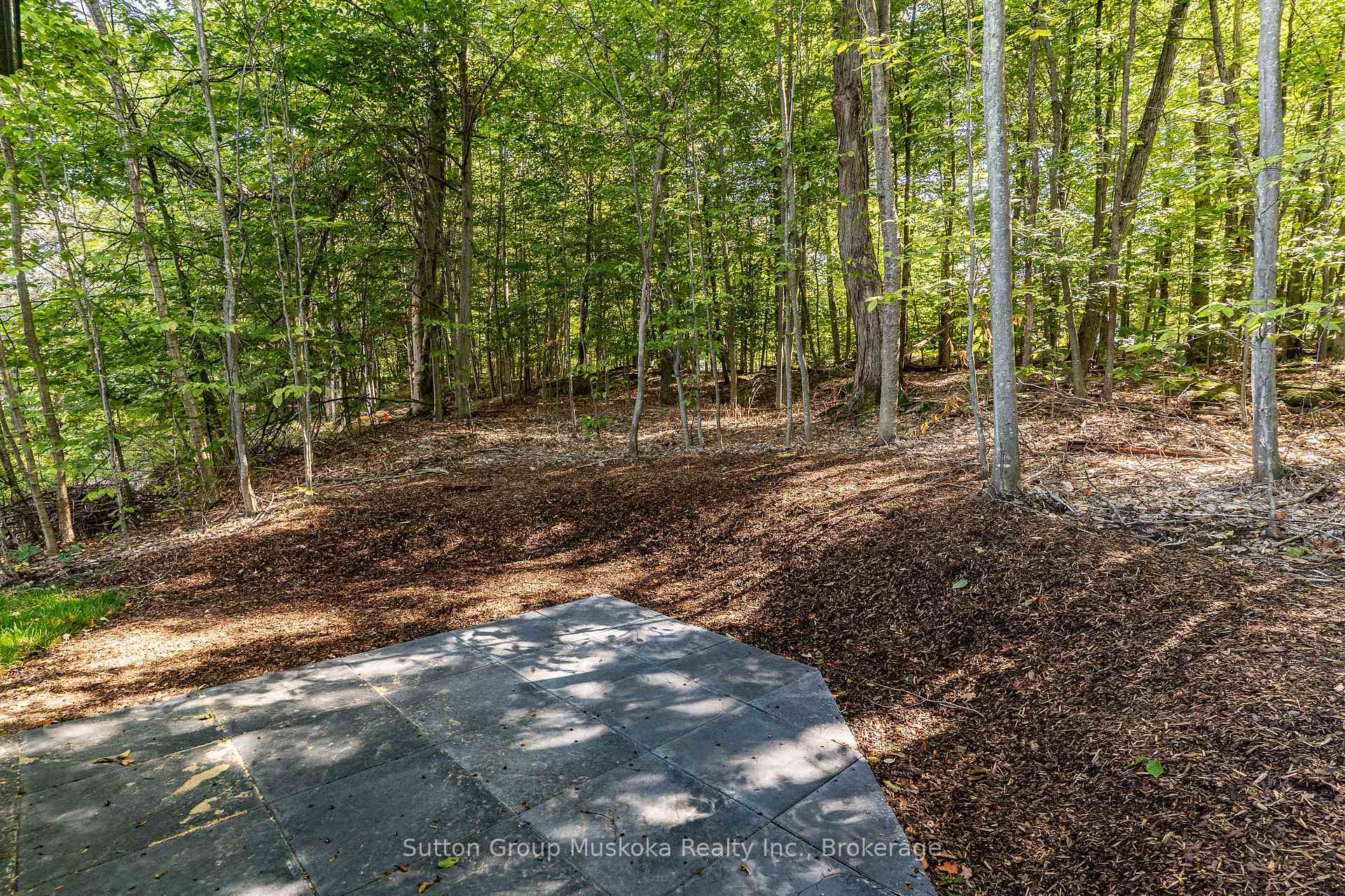 Photo 4 of 33 Shaw Crescent, Huntsville, Chaffey — HOMEH