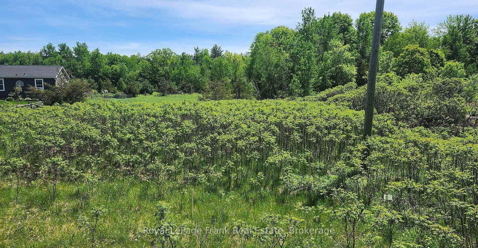 Photo of LOT 14 Trent River Road