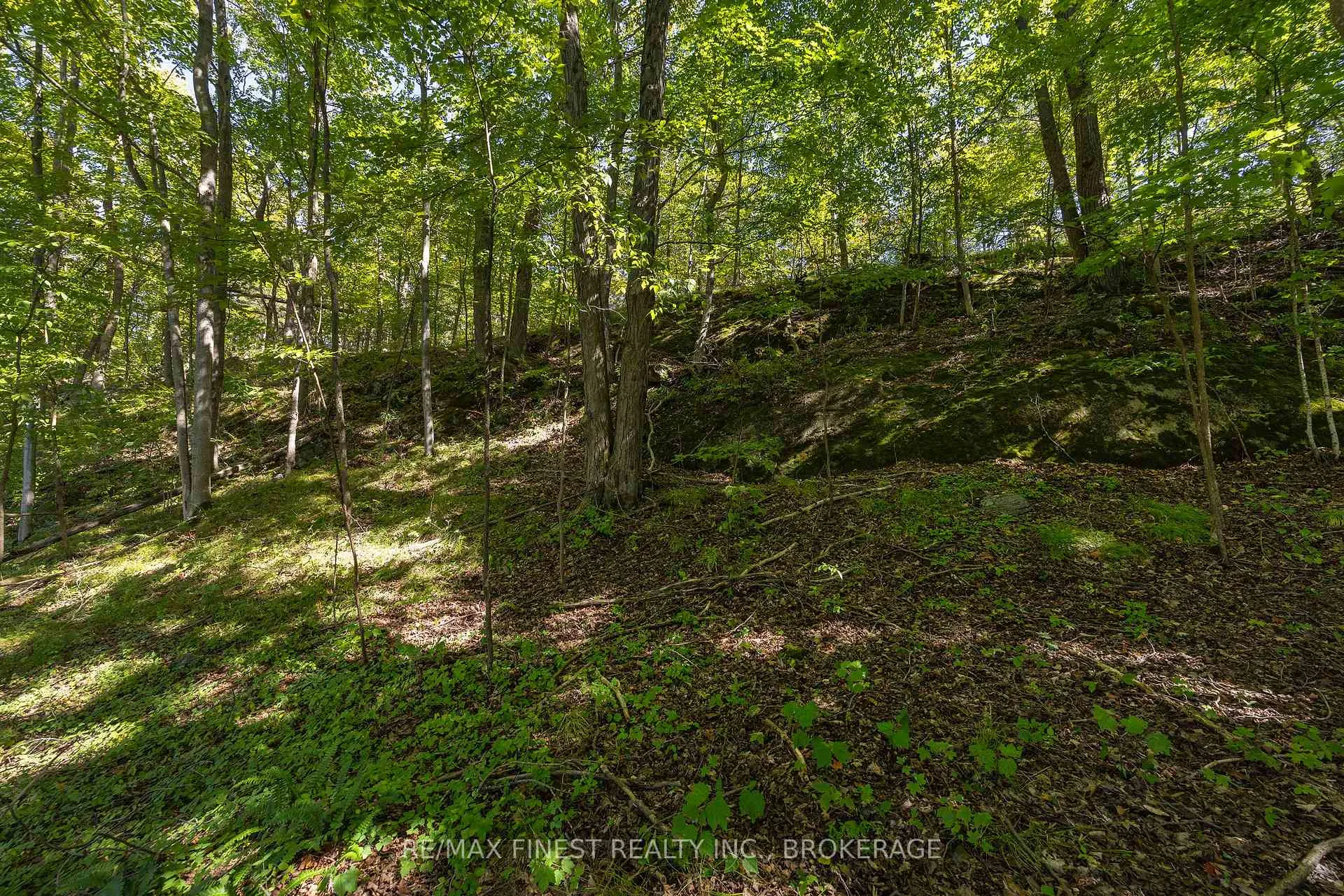 Photo 16 of 4822 Carrying Place Road, Frontenac, Frontenac South — HOMEH