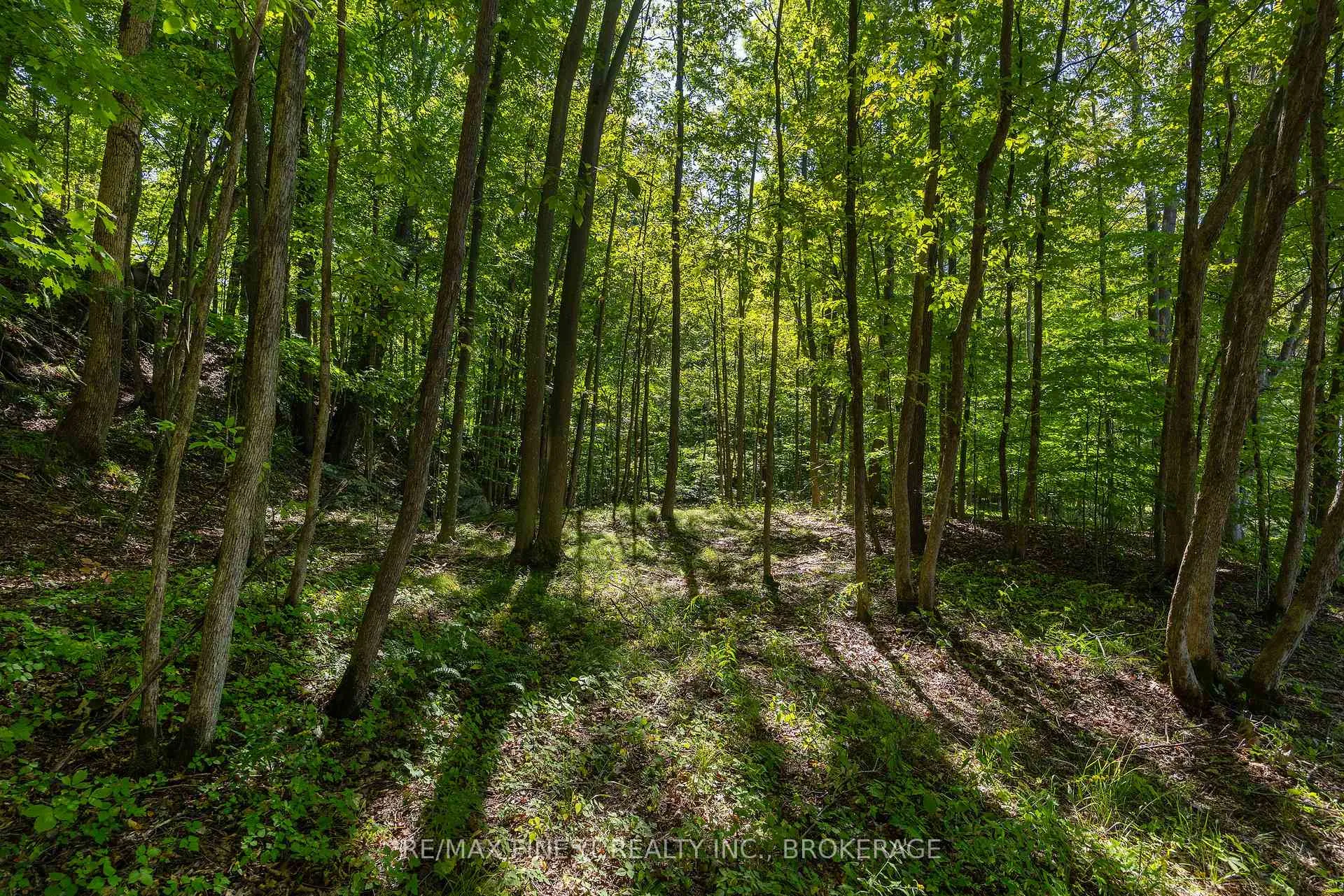 Photo 17 of 4822 Carrying Place Road, Frontenac, Frontenac South — HOMEH