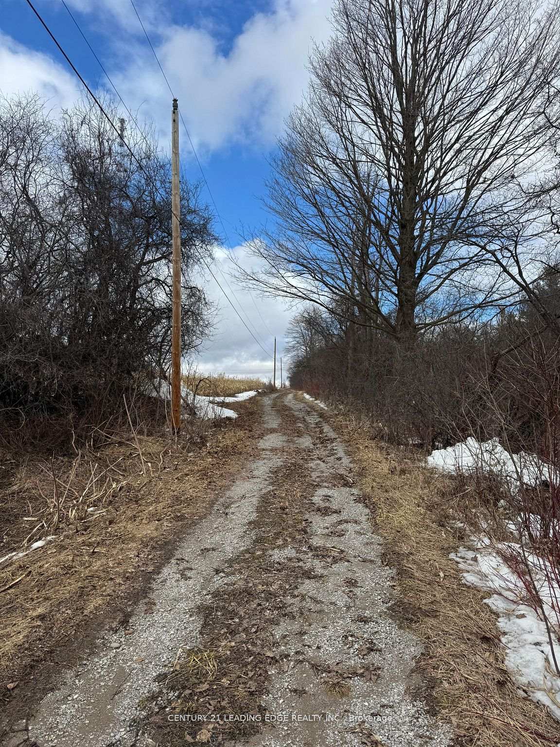 Photo 3 of 8700 Coronation Road, Whitby, Rural Whitby — HOMEH