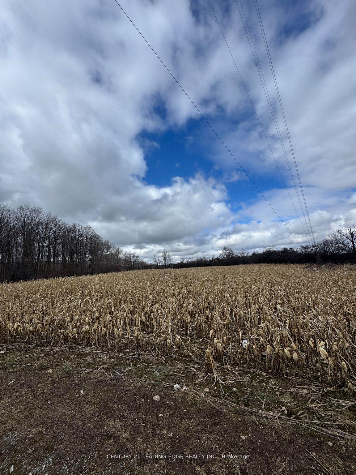 Photo 5 of 8700 Coronation Road, Whitby, Rural Whitby — HOMEH