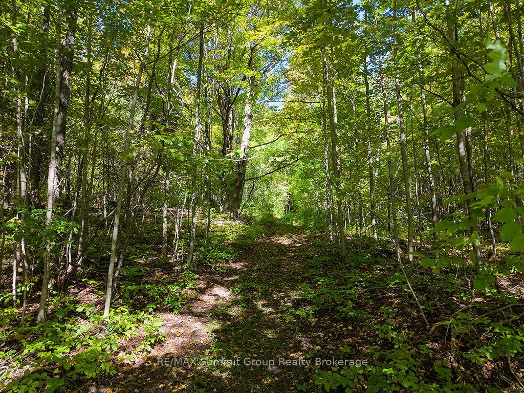 Photo 42 of 467063 12th Concession B, Grey Highlands — HOMEH