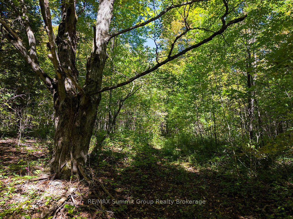 Photo 43 of 467063 12th Concession B, Grey Highlands — HOMEH