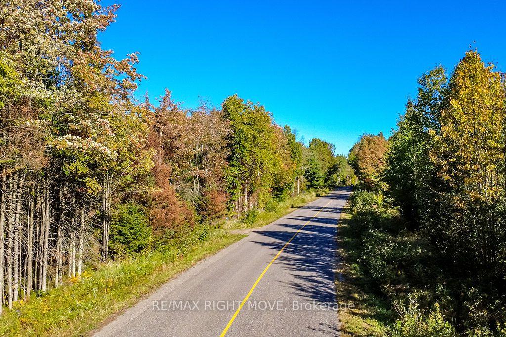 Photo 2 of 1223 Southwood Road, Gravenhurst, Morrison — HOMEH