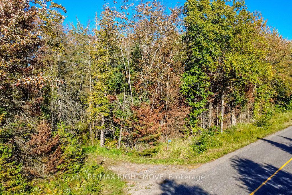 Photo 3 of 1223 Southwood Road, Gravenhurst, Morrison — HOMEH