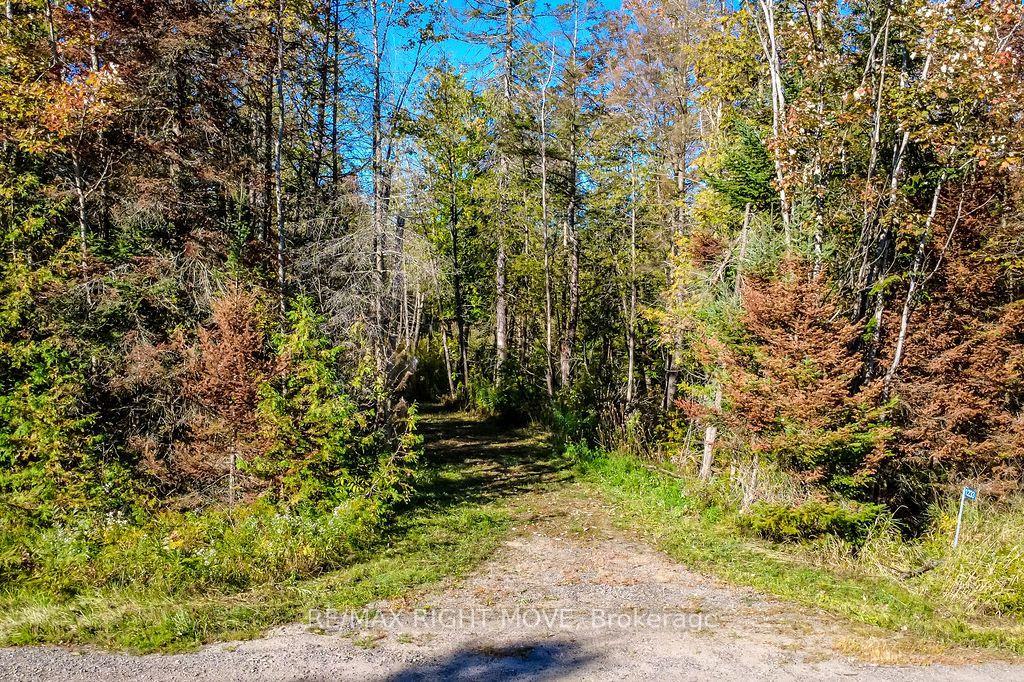 Photo 4 of 1223 Southwood Road, Gravenhurst, Morrison — HOMEH