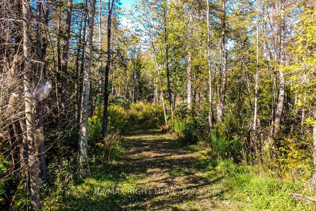 Photo 5 of 1223 Southwood Road, Gravenhurst, Morrison — HOMEH