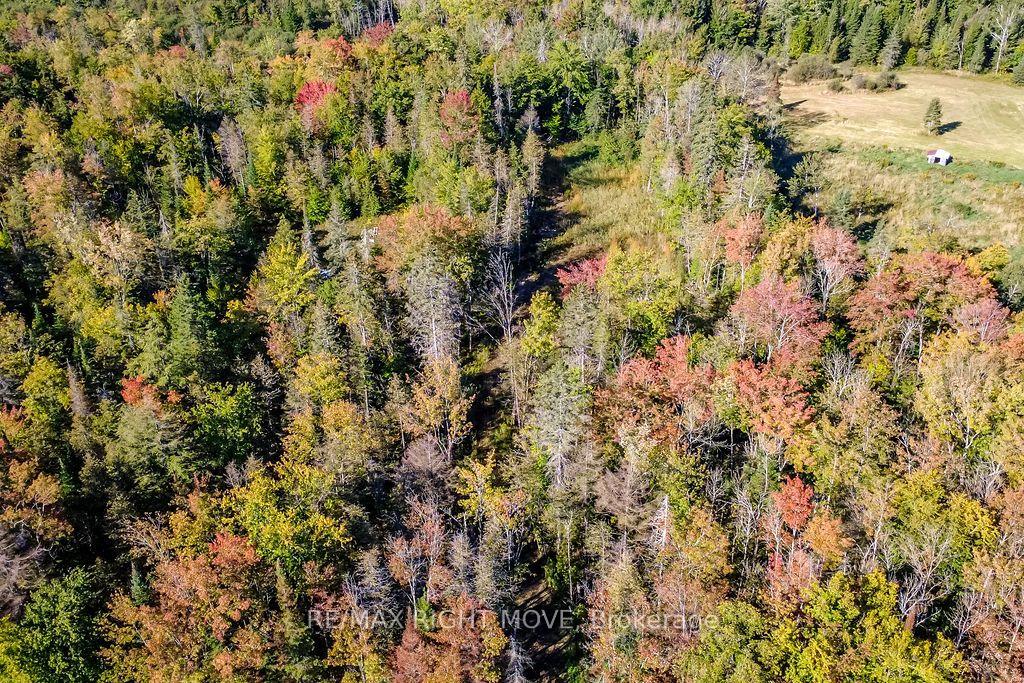 Photo 7 of 1223 Southwood Road, Gravenhurst, Morrison — HOMEH
