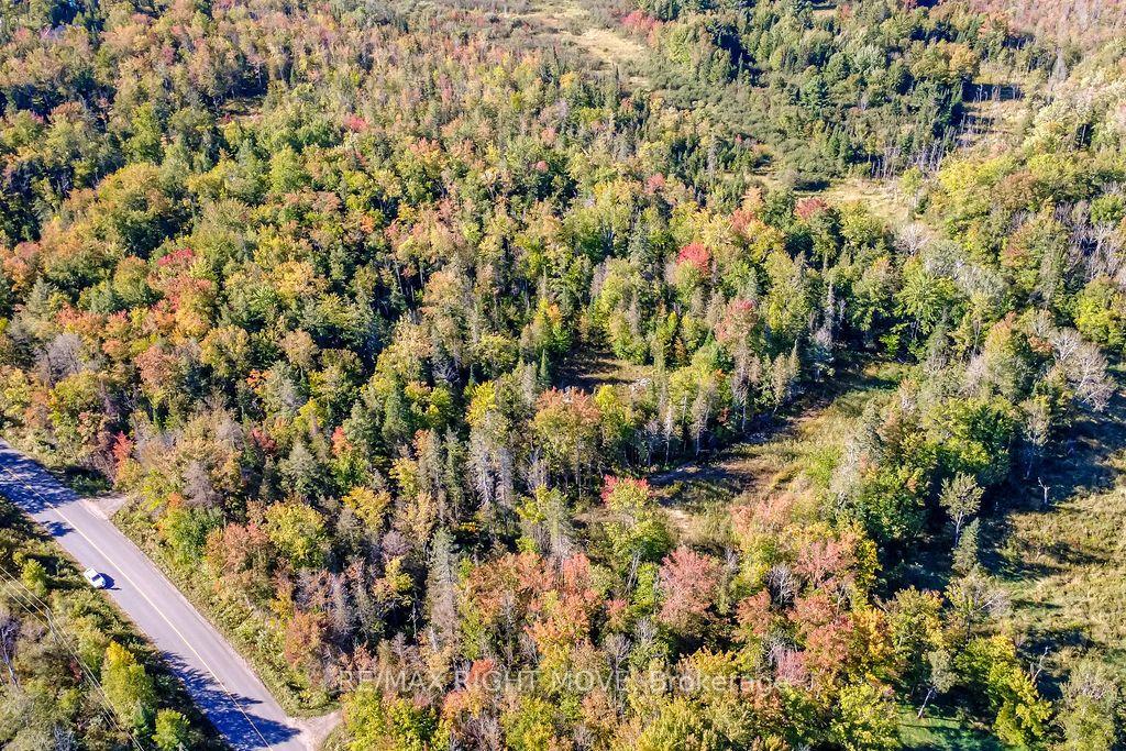 Photo 8 of 1223 Southwood Road, Gravenhurst, Morrison — HOMEH