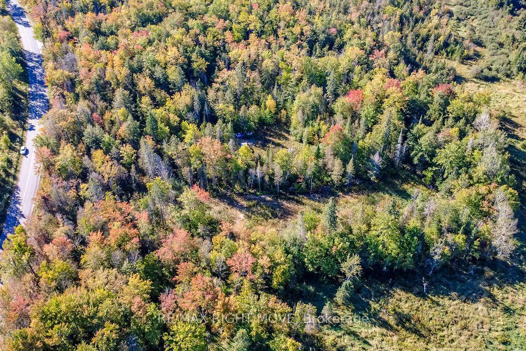 Photo 9 of 1223 Southwood Road, Gravenhurst, Morrison — HOMEH