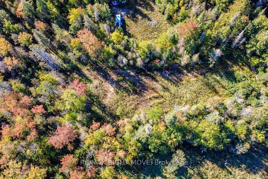 Photo 10 of 1223 Southwood Road, Gravenhurst, Morrison — HOMEH