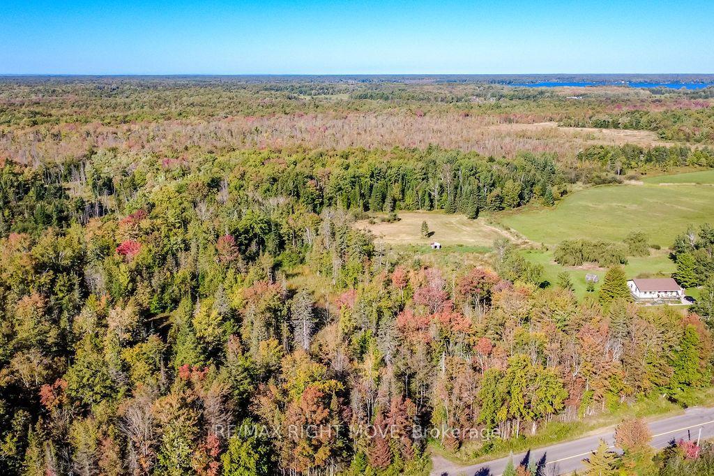 Photo 13 of 1223 Southwood Road, Gravenhurst, Morrison — HOMEH